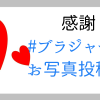 記事のタイトルヘッダー
